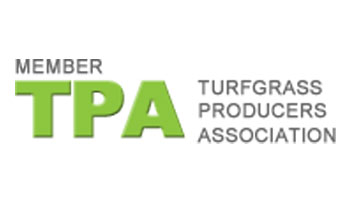 member TPA