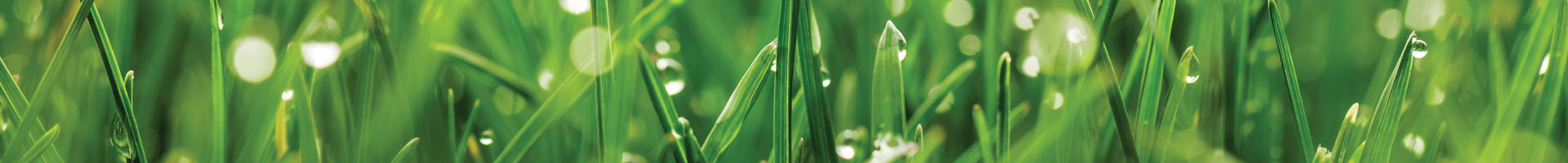 turf video reviews and instructions