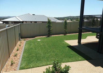 kentucky turf nursery lawn example