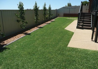 kentucky turf nursery lawn example