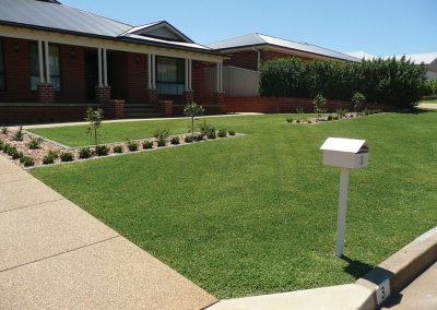 kentucky turf nursery lawn example