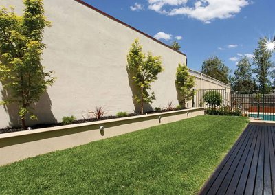 kentucky turf nursery lawn example